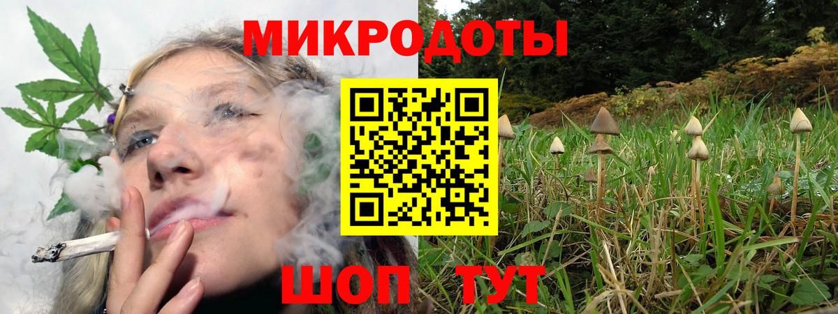 Кемерово  Псилоцибиновые грибы мицелий  Вход с VPN 